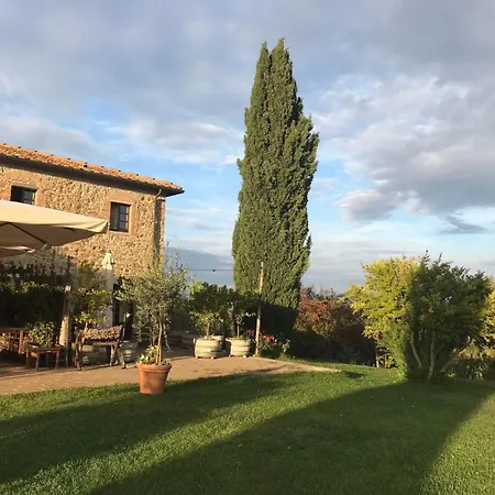 Mit Terrasse By Interhome Apartment Sassetta