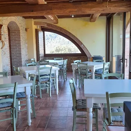 Mit Terrasse By Interhome Apartment Sassetta