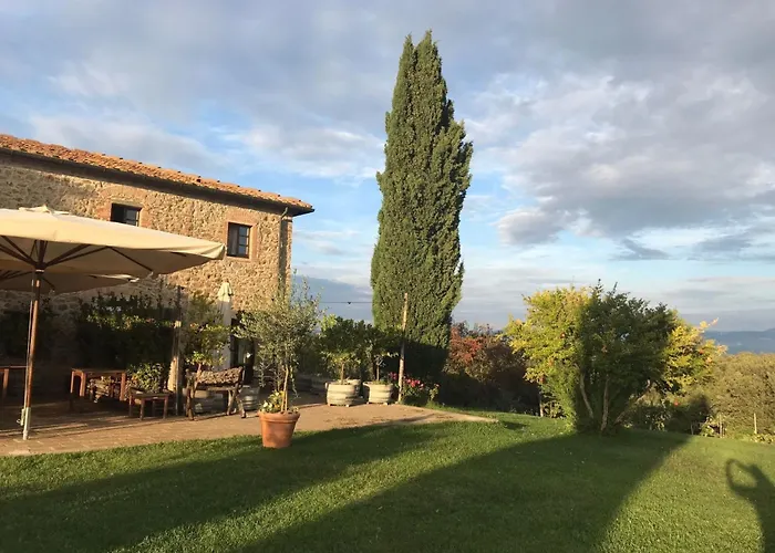 Mit Terrasse By Interhome 公寓 萨塞塔