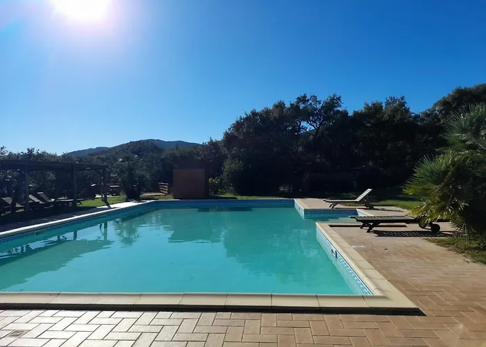 Mit Terrasse By Interhome 公寓 萨塞塔