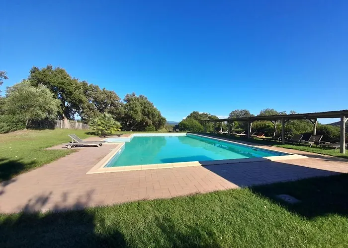 Mit Terrasse By Interhome * 萨塞塔