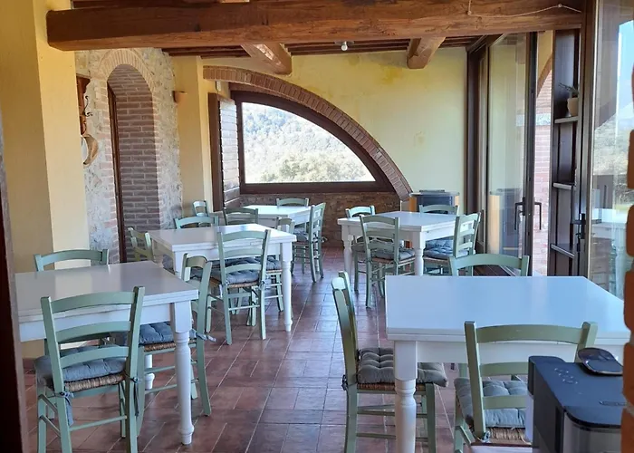 Mit Terrasse By Interhome 公寓 萨塞塔